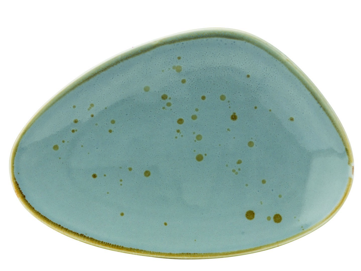 Earth Thistle Oblong Plate 10